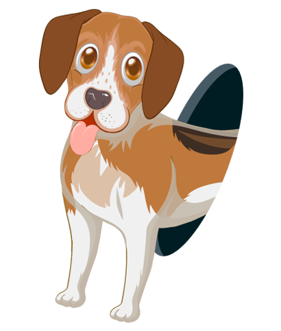 Pawsitive Lessons