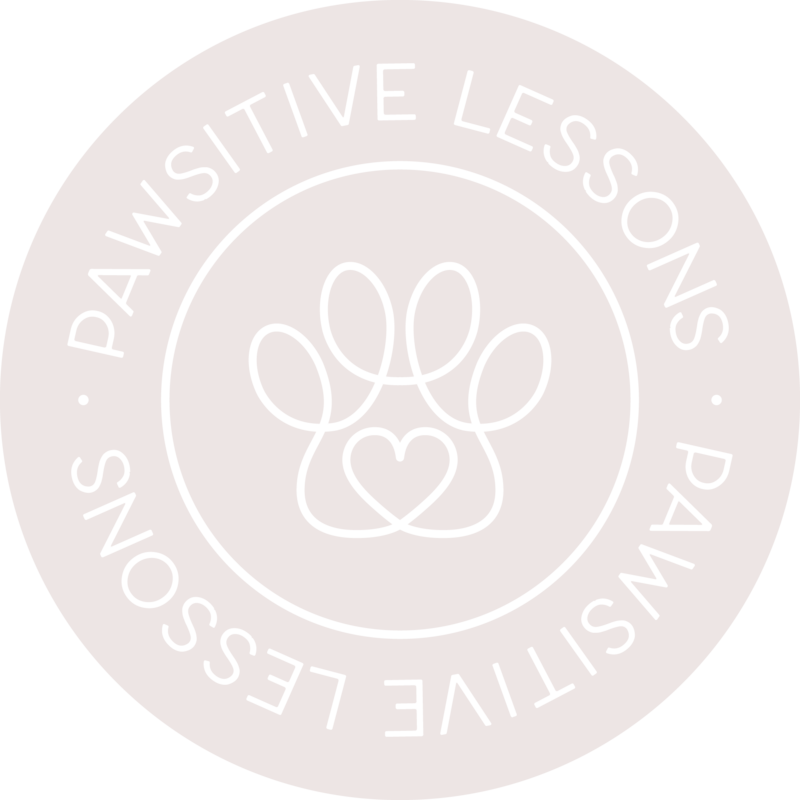 Pawsitive Lessons